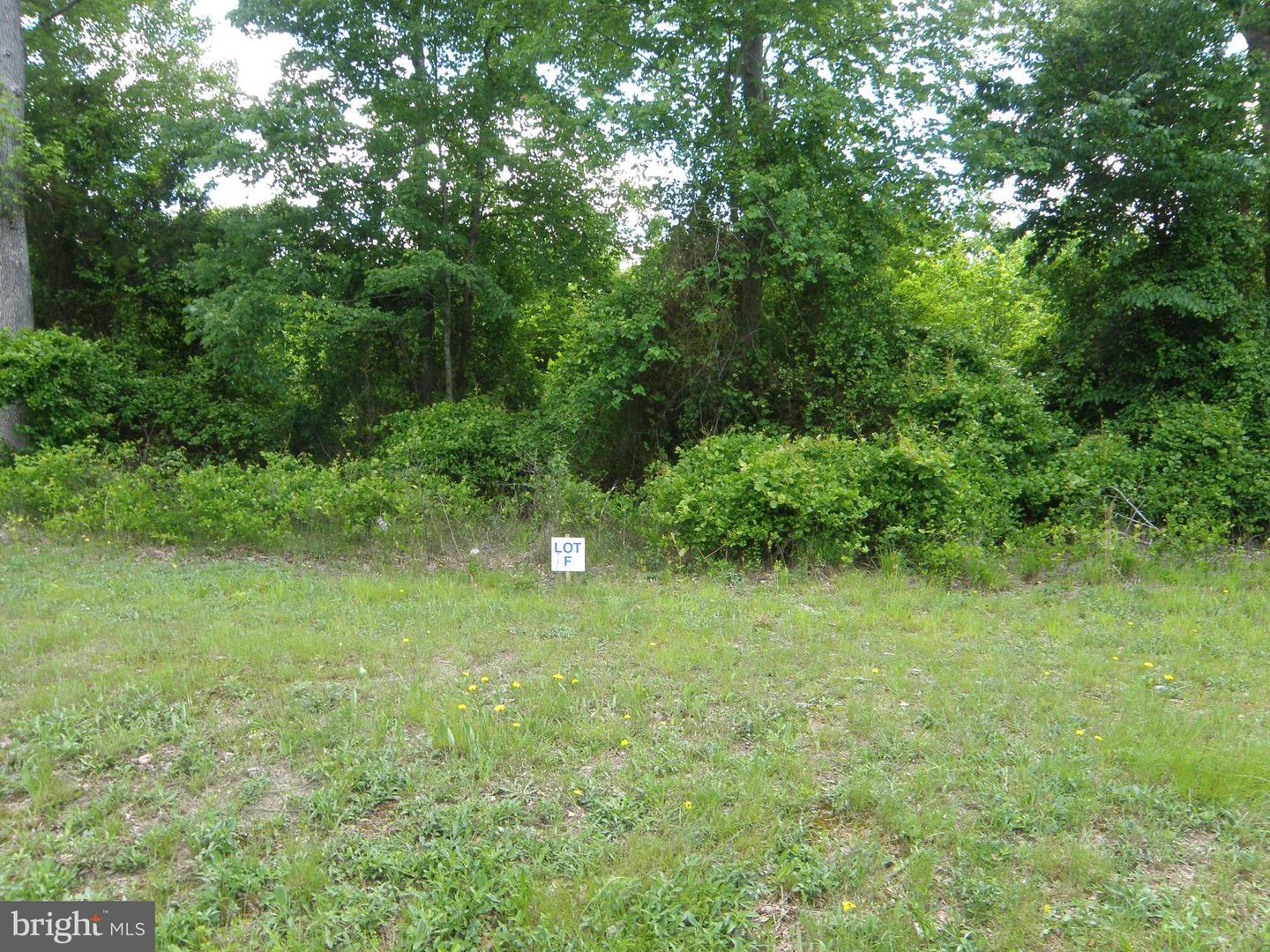 DESU2087268-803884990768-2025-05-27-11-39-36 Lot F Shortly Rd. 133-9.00-9.22 | Georgetown, DE Real Estate For Sale | MLS# Desu2087268  - Jack Lingo REALTOR