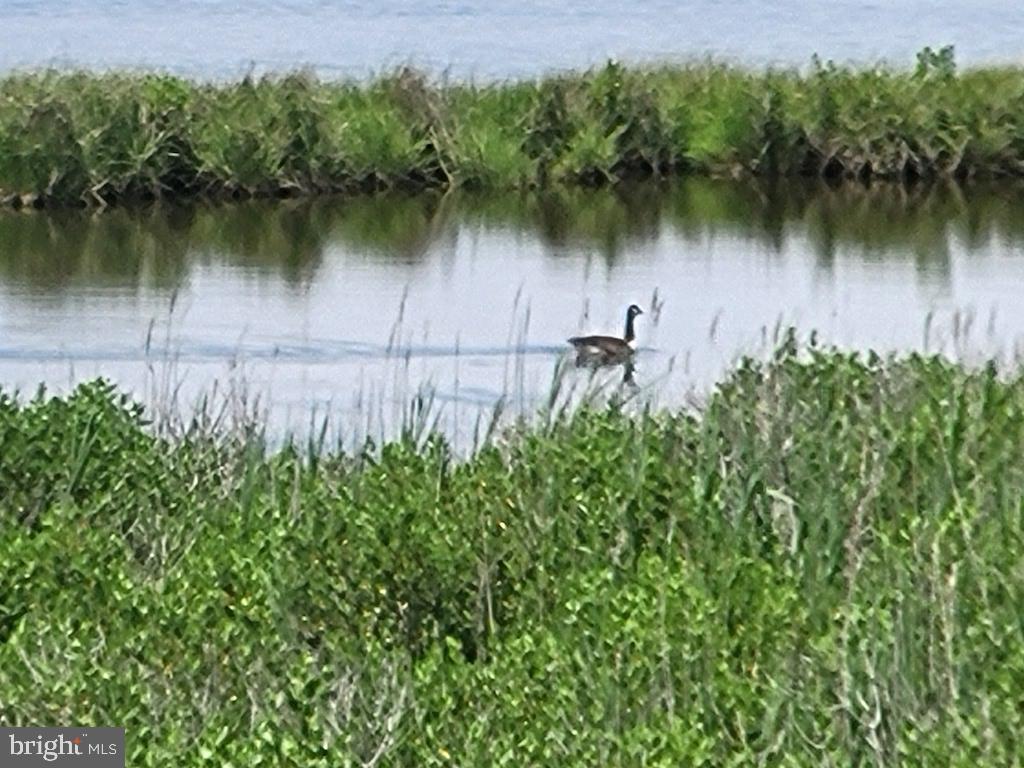 DESU2087286-803893207224-2026-02-20-15-24-04 38178 Dockside Dr #1266 | Selbyville, DE Real Estate For Sale | MLS# Desu2087286  - Jack Lingo REALTOR