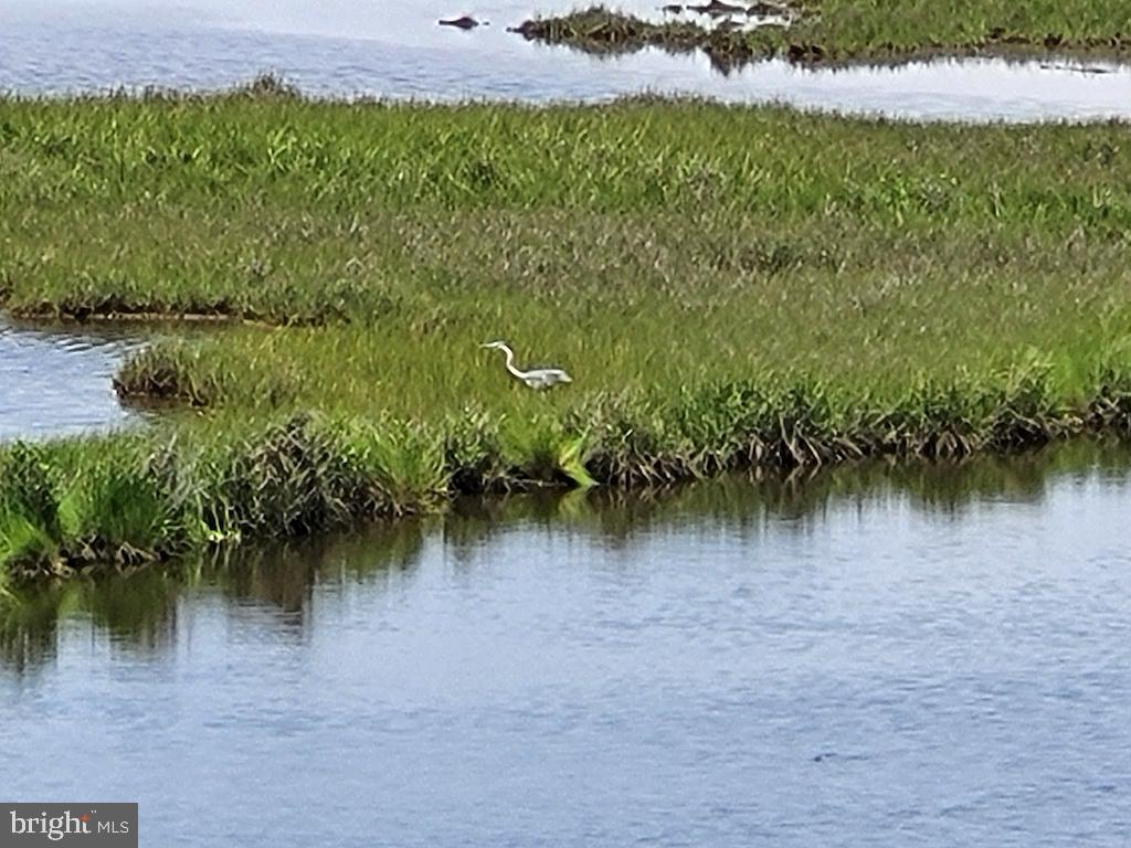 DESU2087286-803893207648-2026-02-20-15-24-03 38178 Dockside Dr #1266 | Selbyville, DE Real Estate For Sale | MLS# Desu2087286  - Jack Lingo REALTOR