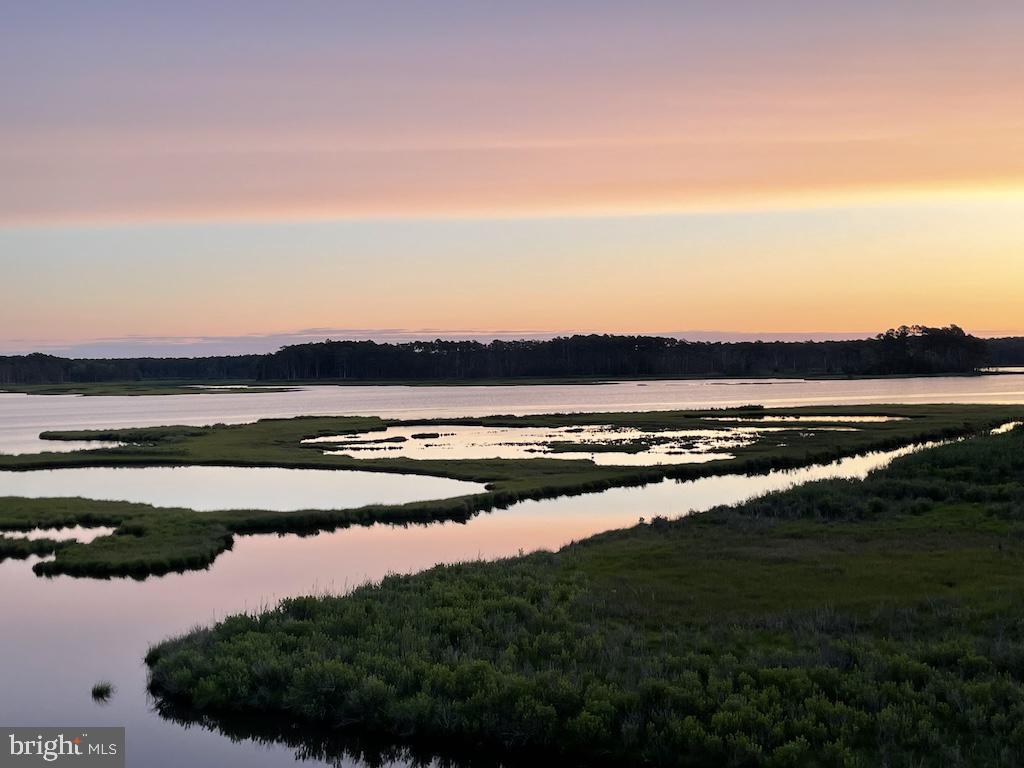 DESU2087286-803931504202-2025-06-12-14-53-44 38178 Dockside Dr #1266 | Selbyville, DE Real Estate For Sale | MLS# Desu2087286  - Jack Lingo REALTOR