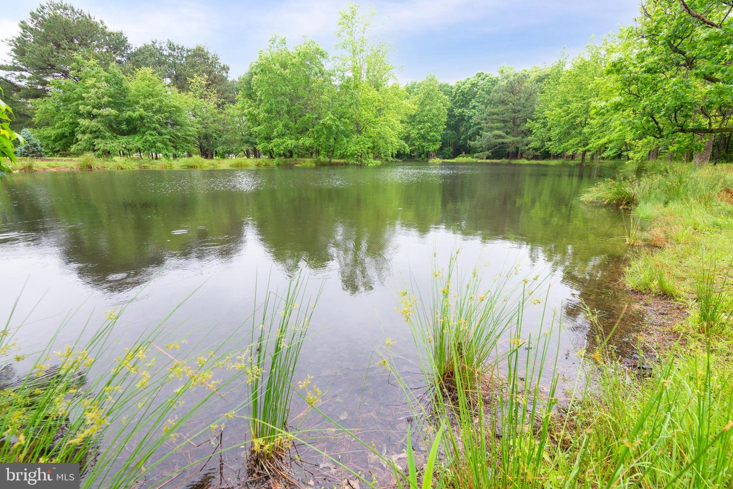DESU2087302-803885516620-2025-05-27-13-45-06 81 Rivers End Dr | Seaford, DE Real Estate For Sale | MLS# Desu2087302  - Jack Lingo REALTOR