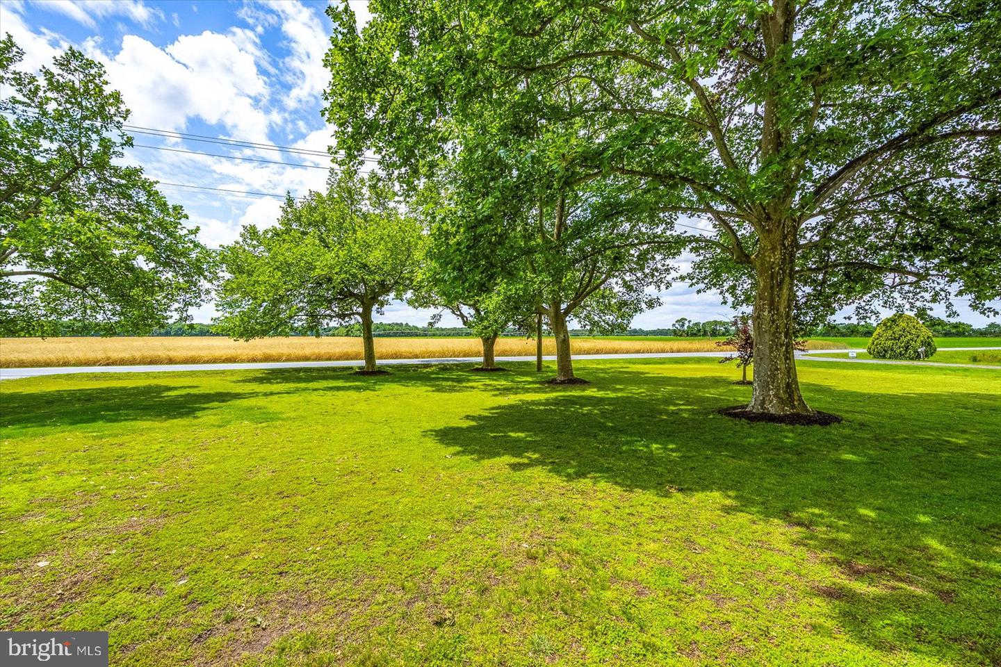 DESU2087360-803886404434-2025-06-10-09-18-16 8807 Woodland Ferry Rd | Laurel, DE Real Estate For Sale | MLS# Desu2087360  - Jack Lingo REALTOR