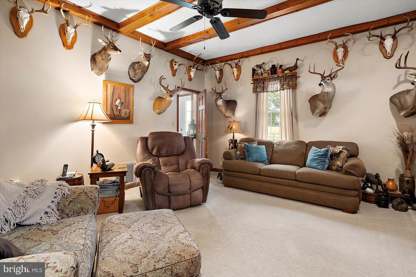 DESU2087364-803886500088-2025-06-10-09-19-18 8807 Woodland Ferry Rd | Laurel, DE Real Estate For Sale | MLS# Desu2087364  - Jack Lingo REALTOR