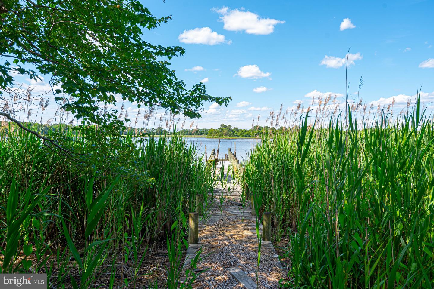 DESU2087384-803887435890-2025-06-26-10-27-13 29959 Mountain Laurel Dr | Dagsboro, DE Real Estate For Sale | MLS# Desu2087384  - Jack Lingo REALTOR
