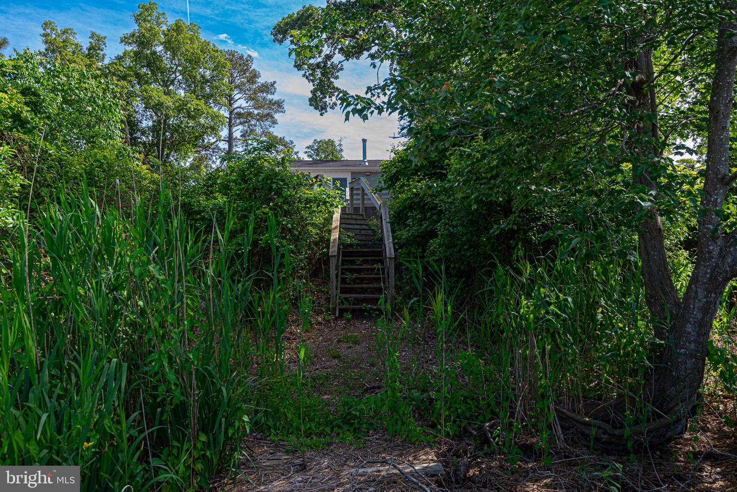 DESU2087384-803887436484-2025-06-26-10-27-13 29959 Mountain Laurel Dr | Dagsboro, DE Real Estate For Sale | MLS# Desu2087384  - Jack Lingo REALTOR