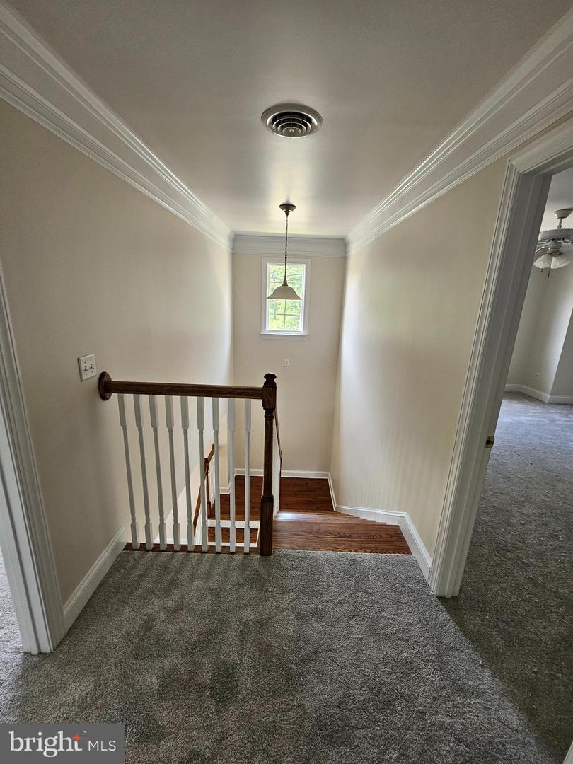DESU2087532-803892783542-2025-05-29-14-40-25 204 Turtle Cv #116 | Laurel, DE Real Estate For Sale | MLS# Desu2087532  - Jack Lingo REALTOR