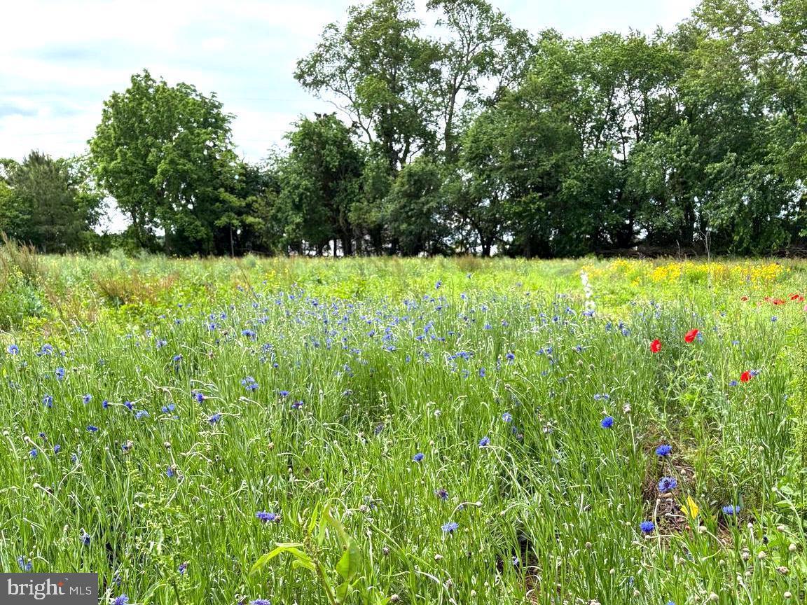 DESU2087878-804012939408-2025-07-15-12-21-56 7299 Marshall St | Lincoln, DE Real Estate For Sale | MLS# Desu2087878  - Jack Lingo REALTOR DESU2087878-804012939408-2025-07-15-12-21-56 7299 Marshall St | Lincoln, DE Real Estate For Sale | MLS# Desu2087878  - Jack Lingo REALTOR