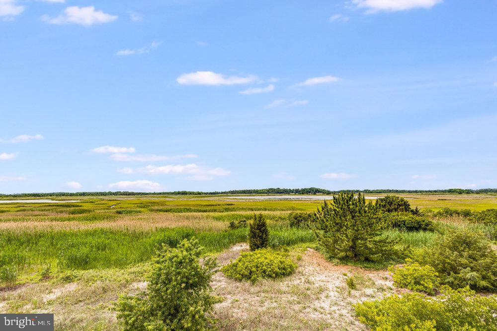 DESU2087888-803915188666-2025-06-06-10-41-17 104 Isaacs Shore Dr | Milford, DE Real Estate For Sale | MLS# Desu2087888  - Jack Lingo REALTOR