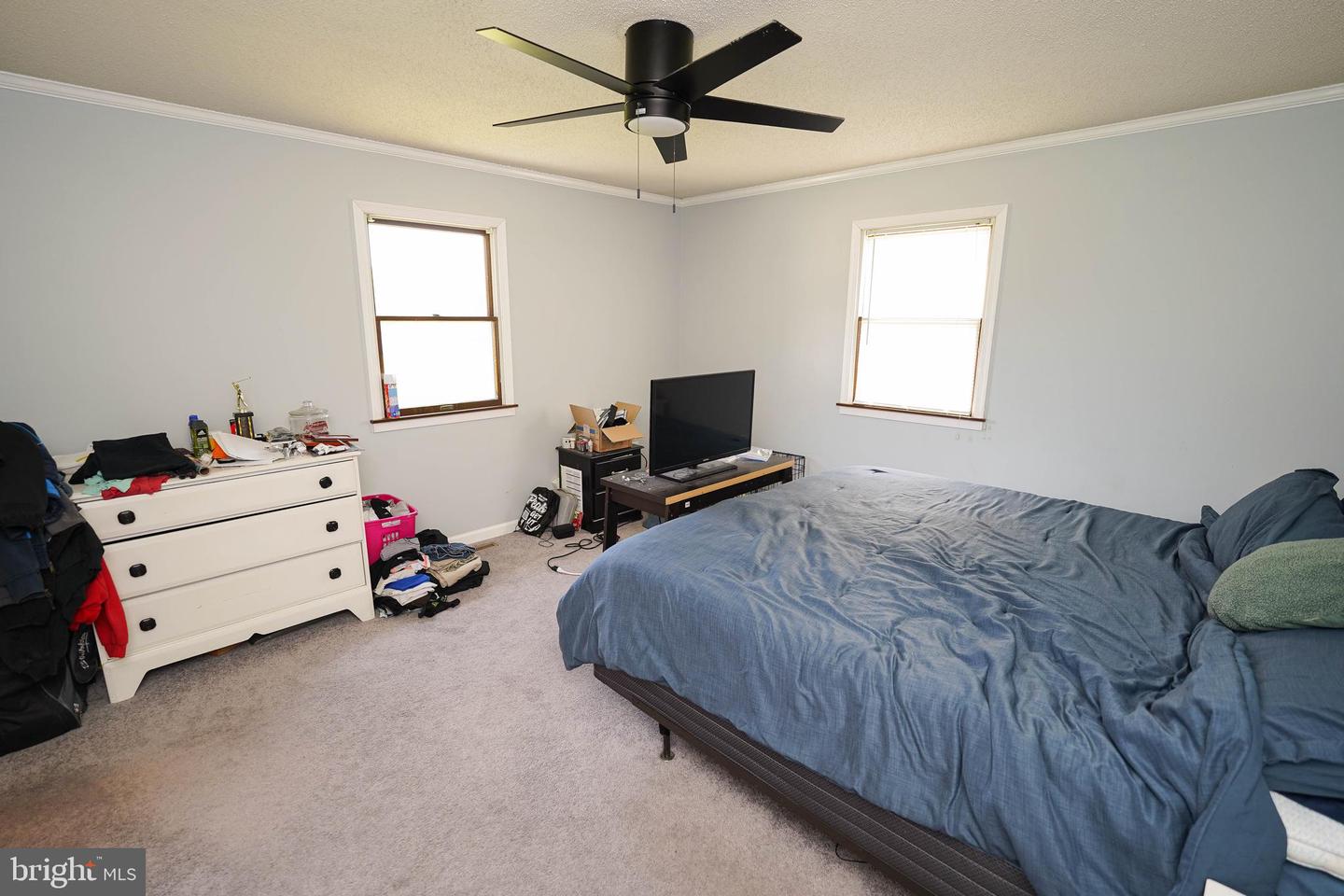DESU2087916-803909024880-2025-06-04-18-18-01 10564 Waller Rd | Laurel, DE Real Estate For Sale | MLS# Desu2087916  - Jack Lingo REALTOR