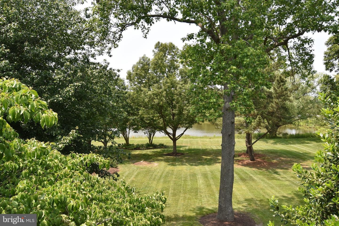 DESU2087972-803909593838-2025-06-04-17-03-24 20802 Spring Lake Dr #427 | Rehoboth Beach, DE Real Estate For Sale | MLS# Desu2087972  - Jack Lingo REALTOR