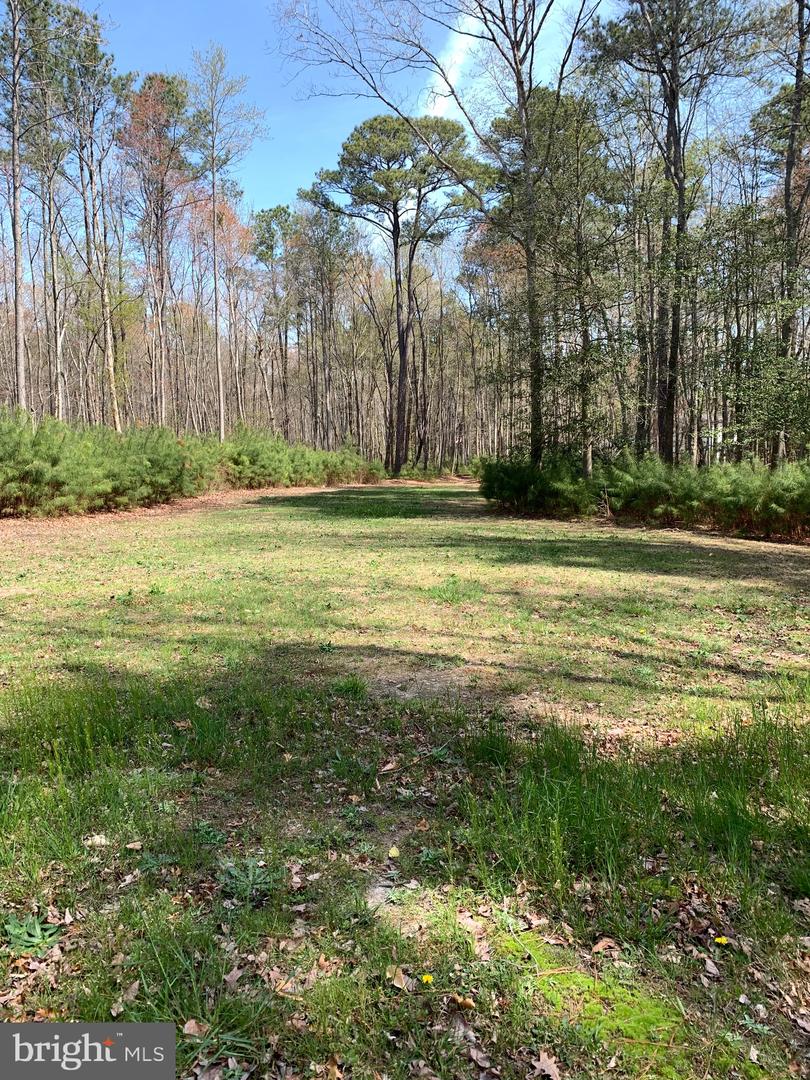 DESU2088056-804040481510-2025-10-31-10-57-58 35038 Promised Land Ln | Frankford, DE Real Estate For Sale | MLS# Desu2088056 - Jack Lingo REALTOR DESU2088056-804040481510-2025-10-31-10-57-58 35038 Promised Land Ln | Frankford, DE Real Estate For Sale | MLS# Desu2088056 - Jack Lingo REALTOR