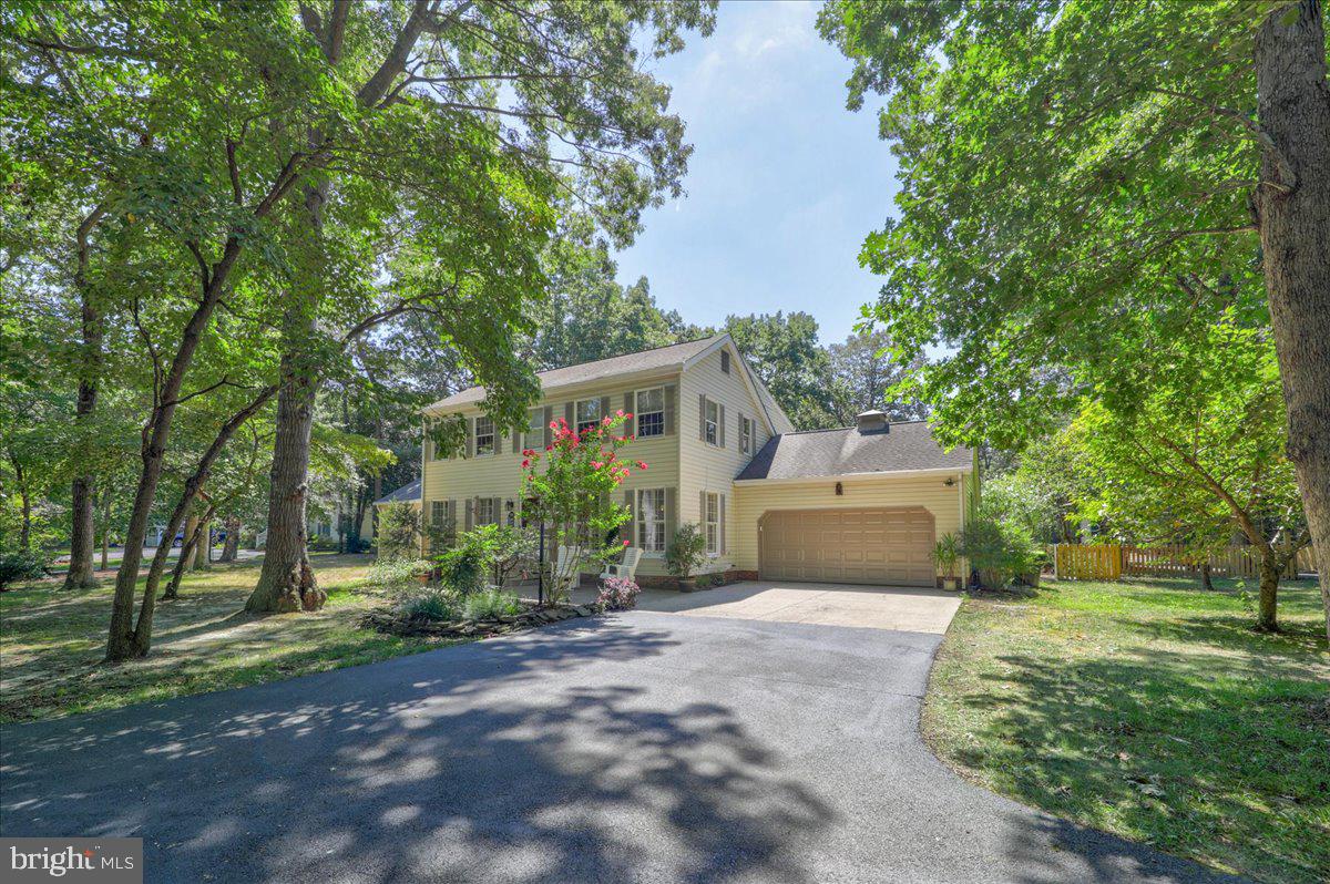22226 REYNOLDS POND RD, ELLENDALE, DE - Jack Lingo Realtor