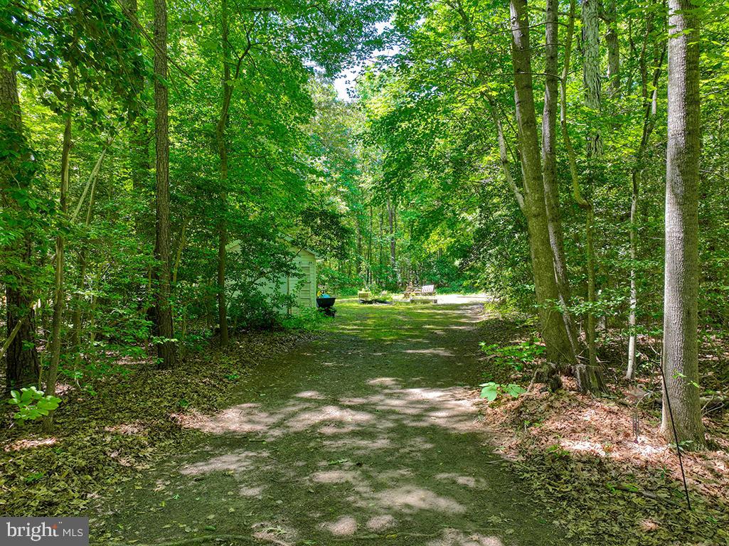 DESU2088140-803925804906-2025-06-11-00-16-40 23157 Huff Rd | Milton, DE Real Estate For Sale | MLS# Desu2088140  - Jack Lingo REALTOR