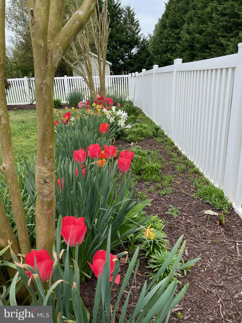 DESU2088182-803917895336-2025-07-09-00-12-55 34486 Michelle Dr | Rehoboth Beach, DE Real Estate For Sale | MLS# Desu2088182  - Jack Lingo REALTOR