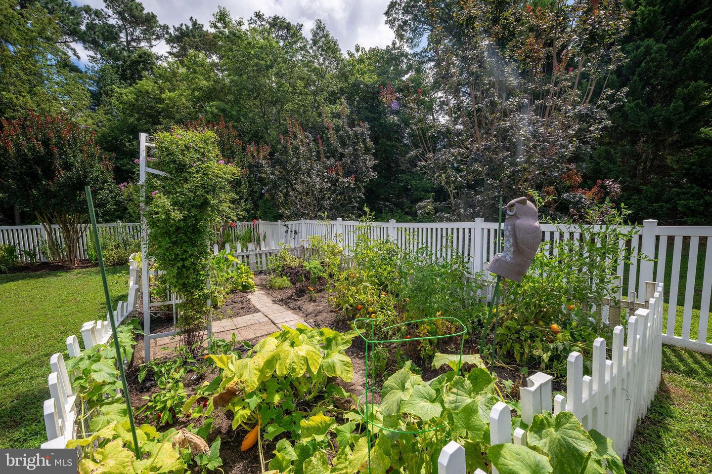 DESU2088182-803993150196-2025-07-09-00-12-43 34486 Michelle Dr | Rehoboth Beach, DE Real Estate For Sale | MLS# Desu2088182  - Jack Lingo REALTOR