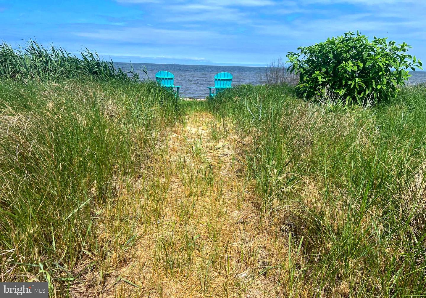 DESU2088230-803944334436-2025-06-18-11-22-46 115 Beach Plum Dr | Milford, DE Real Estate For Sale | MLS# Desu2088230  - Jack Lingo REALTOR