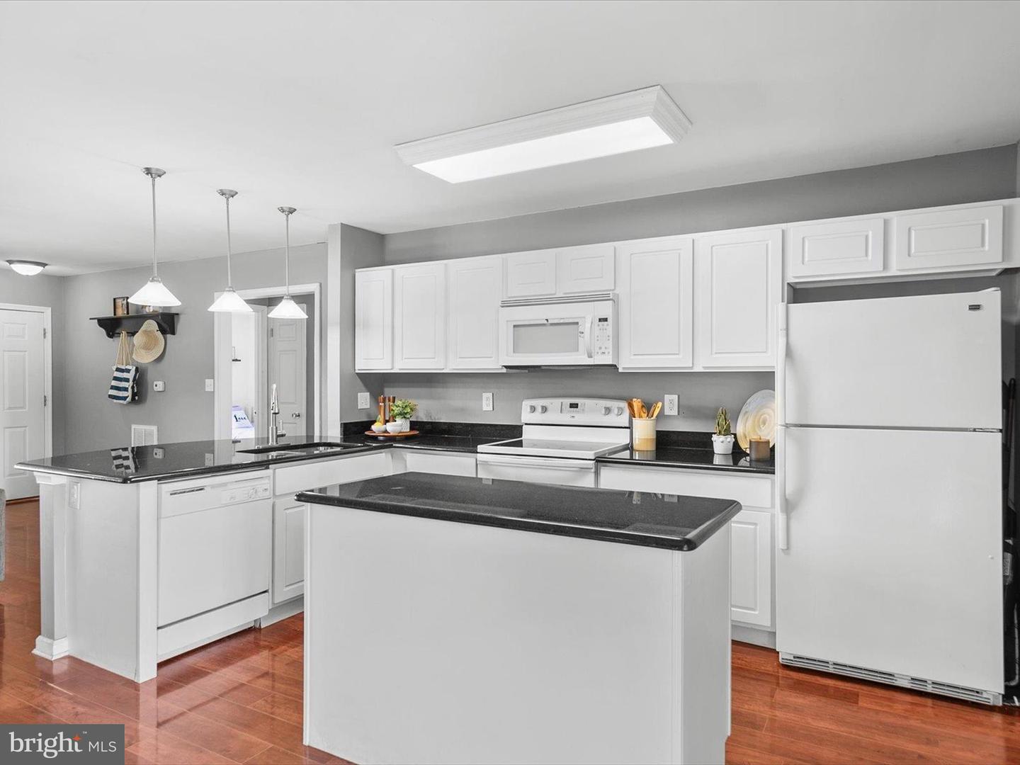 DESU2088260-803949156840-2025-06-19-12-00-50 21269 Alligator Aly | Lewes, DE Real Estate For Sale | MLS# Desu2088260  - Jack Lingo REALTOR