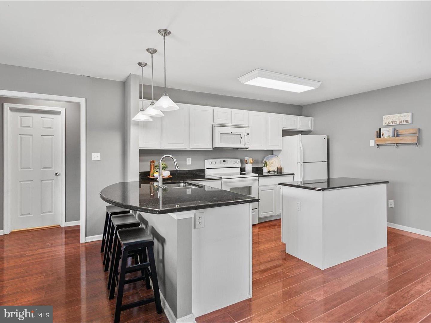 DESU2088260-803949156976-2025-06-19-12-00-50 21269 Alligator Aly | Lewes, DE Real Estate For Sale | MLS# Desu2088260  - Jack Lingo REALTOR