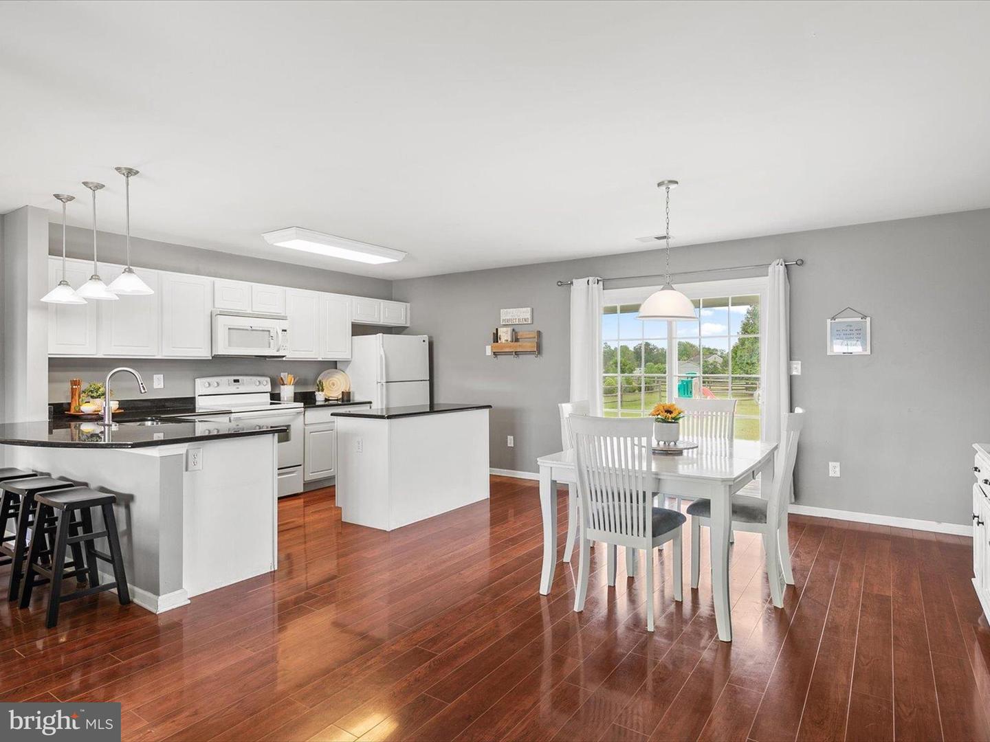 DESU2088260-803949157026-2025-06-19-12-00-50 21269 Alligator Aly | Lewes, DE Real Estate For Sale | MLS# Desu2088260  - Jack Lingo REALTOR