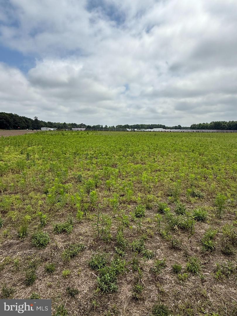 DESU2088354-803924519534-2025-06-16-11-27-34 Moreland Lane | Georgetown, DE Real Estate For Sale | MLS# Desu2088354  - Jack Lingo REALTOR