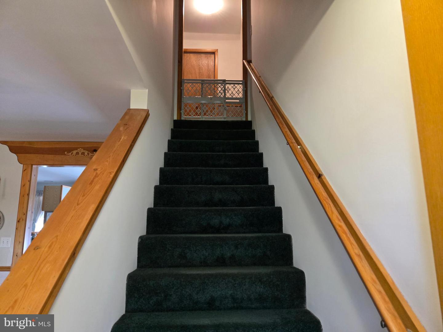 DESU2088394-803925997256-2025-06-19-00-35-18 29110 Stockley Rd | Milton, DE Real Estate For Sale | MLS# Desu2088394  - Jack Lingo REALTOR