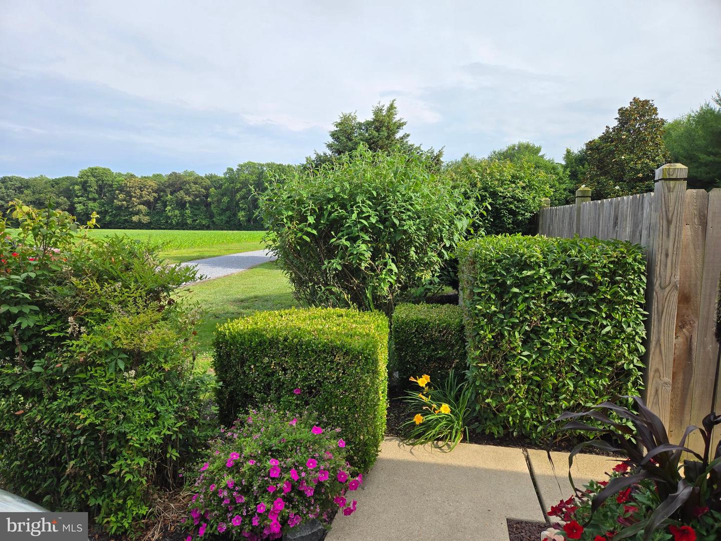 DESU2088394-803925999308-2025-06-19-00-35-16 29110 Stockley Rd | Milton, DE Real Estate For Sale | MLS# Desu2088394  - Jack Lingo REALTOR