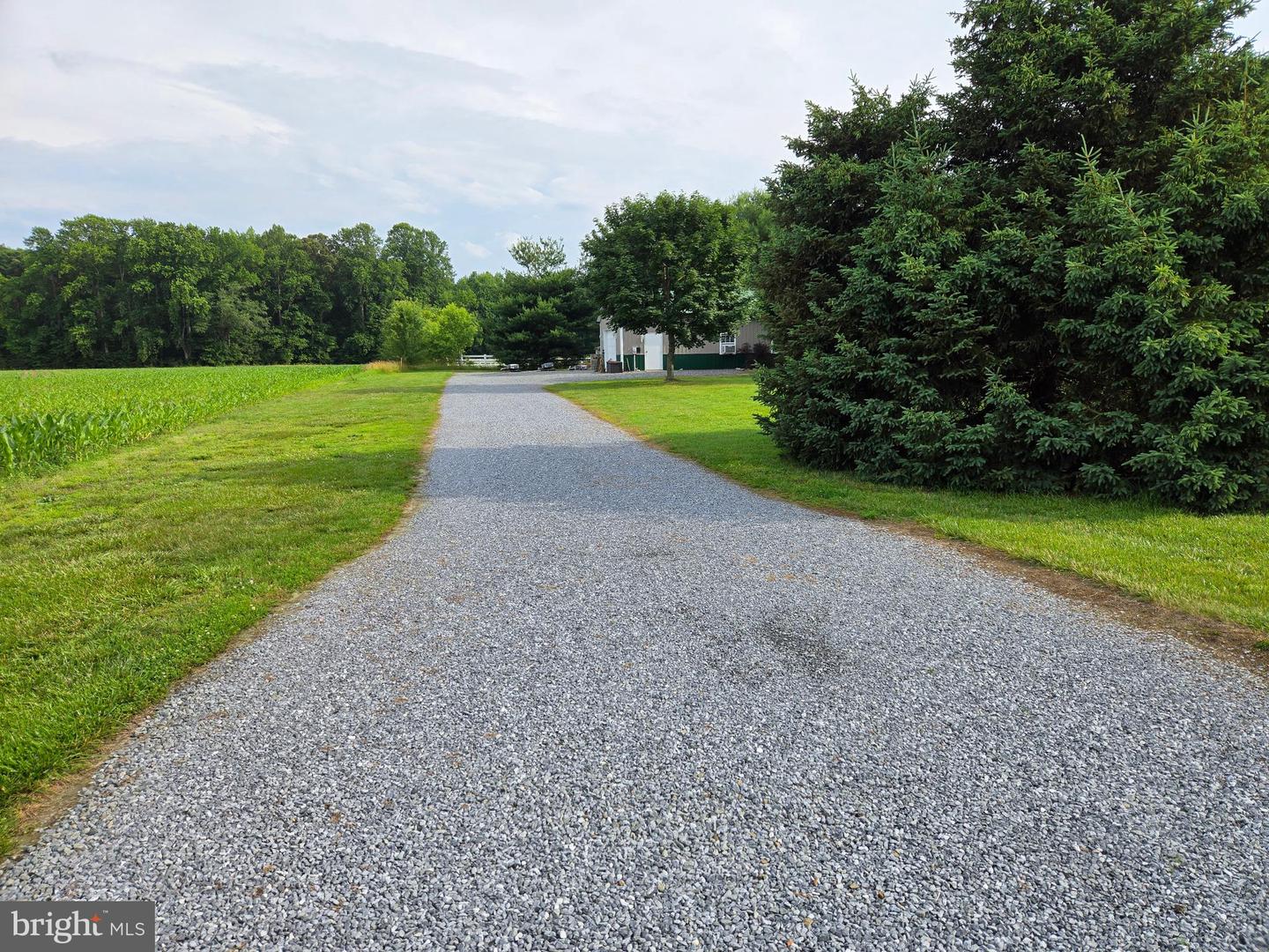 DESU2088394-803926000268-2025-06-19-00-35-28 29110 Stockley Rd | Milton, DE Real Estate For Sale | MLS# Desu2088394  - Jack Lingo REALTOR