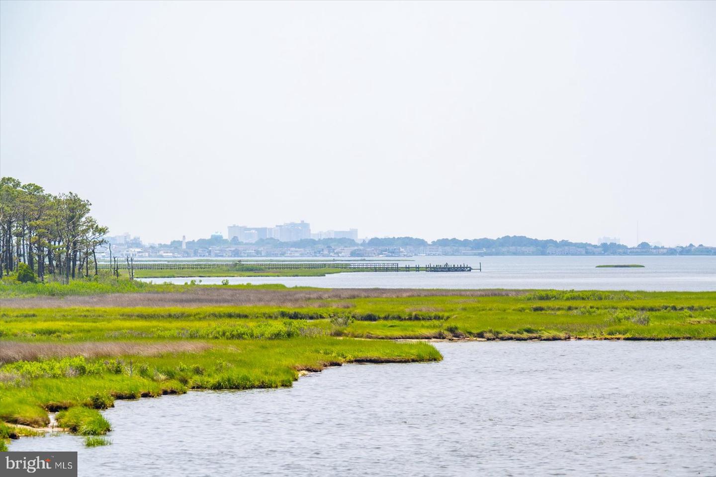 DESU2088470-803937437516-2025-06-16-06-09-55 35197 Hassell Ave | Bethany Beach, DE Real Estate For Sale | MLS# Desu2088470  - Jack Lingo REALTOR