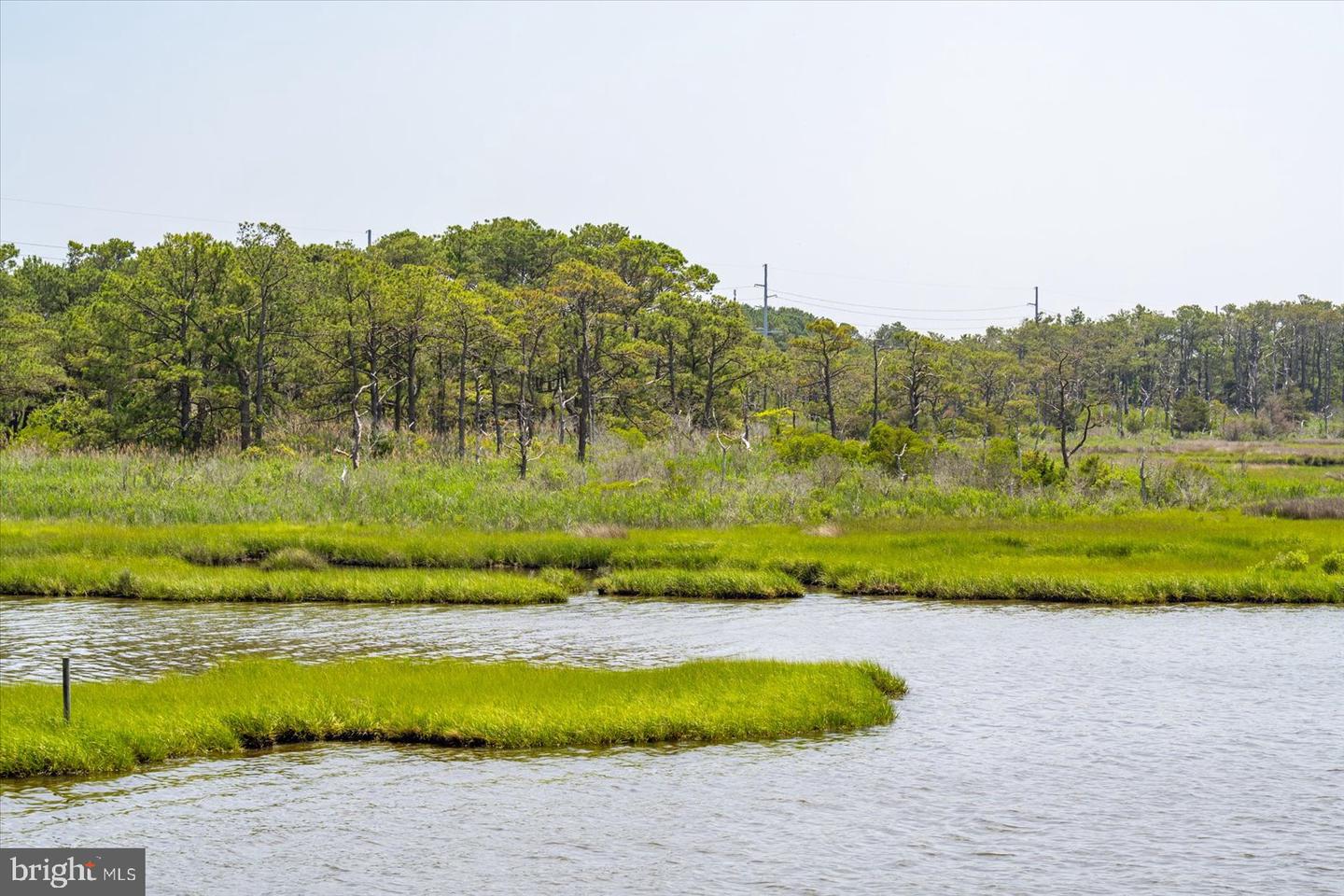 DESU2088470-803937437578-2025-06-16-06-09-53 35197 Hassell Ave | Bethany Beach, DE Real Estate For Sale | MLS# Desu2088470  - Jack Lingo REALTOR