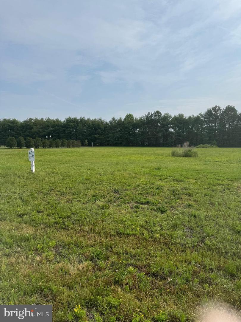 DESU2088490-803935082294-2025-06-13-14-51-55 16308 Edgewater Ct | Milton, DE Real Estate For Sale | MLS# Desu2088490  - Jack Lingo REALTOR