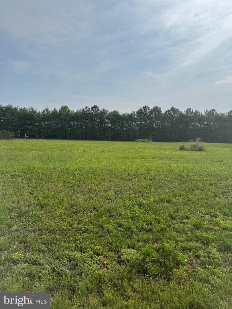 DESU2088490-803935082490-2025-06-13-14-51-55 16308 Edgewater Ct | Milton, DE Real Estate For Sale | MLS# Desu2088490  - Jack Lingo REALTOR