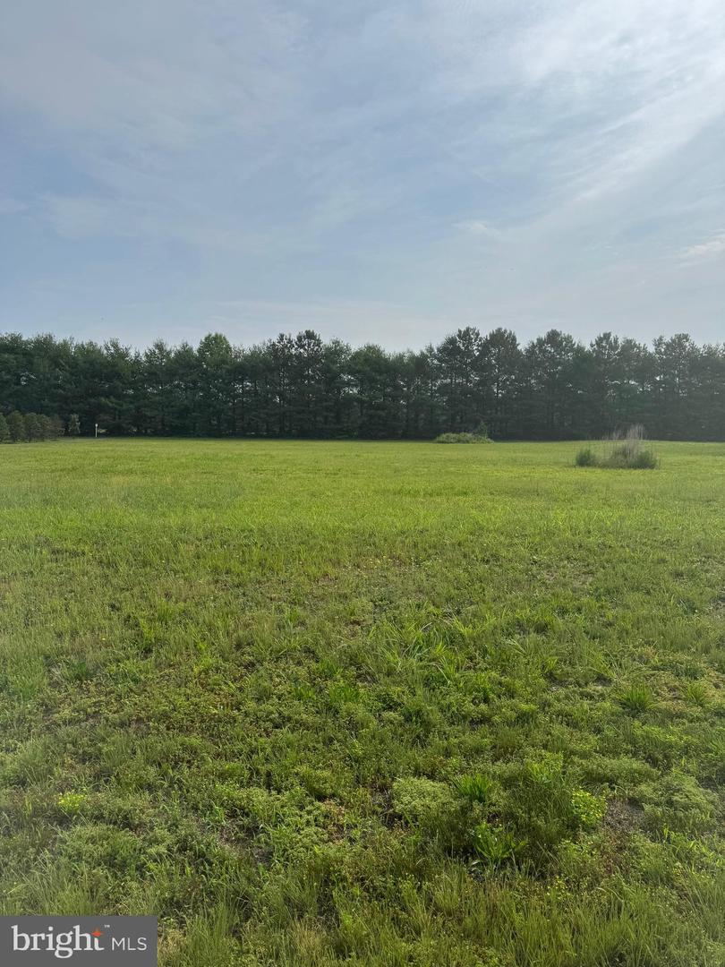 DESU2088490-803935082524-2025-06-13-14-51-55 16308 Edgewater Ct | Milton, DE Real Estate For Sale | MLS# Desu2088490  - Jack Lingo REALTOR