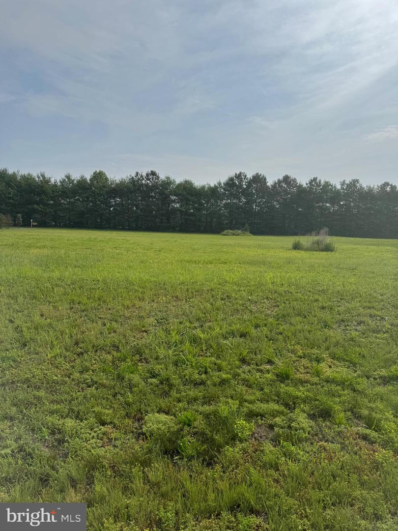 DESU2088490-803935082588-2025-06-13-14-51-55 16308 Edgewater Ct | Milton, DE Real Estate For Sale | MLS# Desu2088490  - Jack Lingo REALTOR