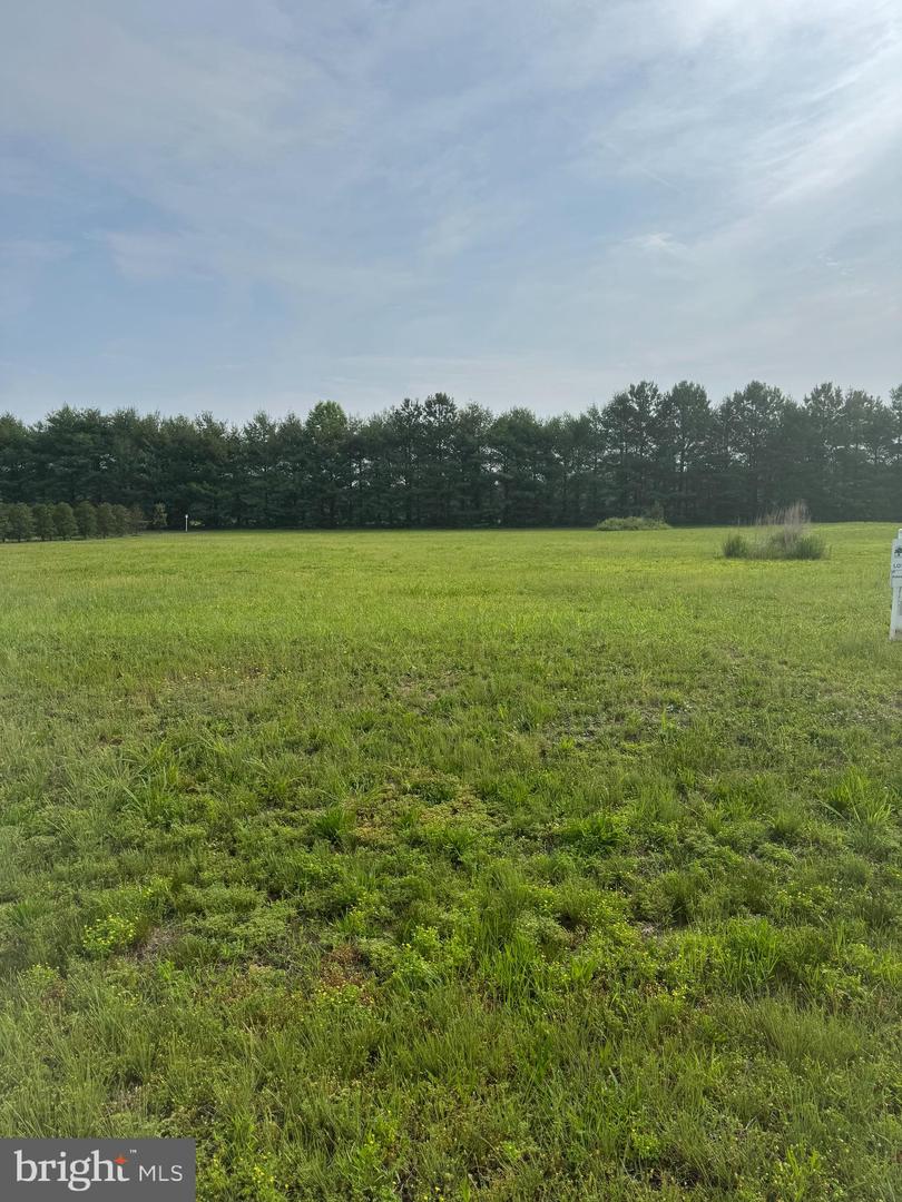 16308 EDGEWATER CT, MILTON, DE - Jack Lingo Realtor