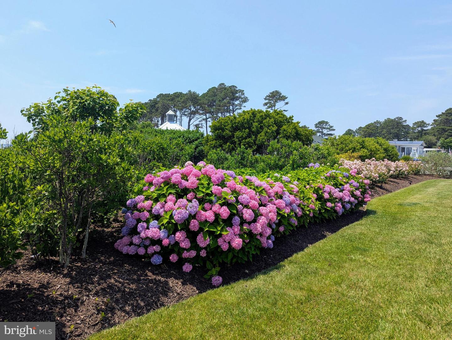 DESU2088576-803934908424-2025-06-13-15-52-48 26633 Hawks Nest #47613 | Millsboro, DE Real Estate For Sale | MLS# Desu2088576  - Jack Lingo REALTOR