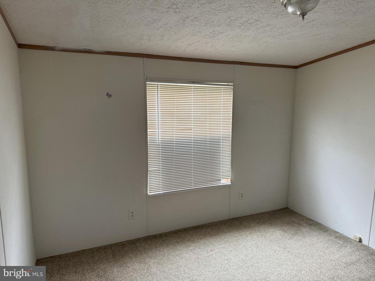 DESU2088612-803937101470-2025-06-14-13-16-24 36835 Columbia Rd | Delmar, DE Real Estate For Sale | MLS# Desu2088612  - Jack Lingo REALTOR