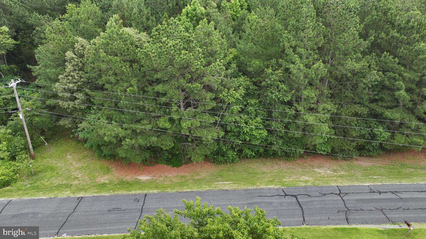 DESU2088618-803937346062-2025-06-19-12-27-34 0 Helm's Landing Rd | Dagsboro, DE Real Estate For Sale | MLS# Desu2088618  - Jack Lingo REALTOR
