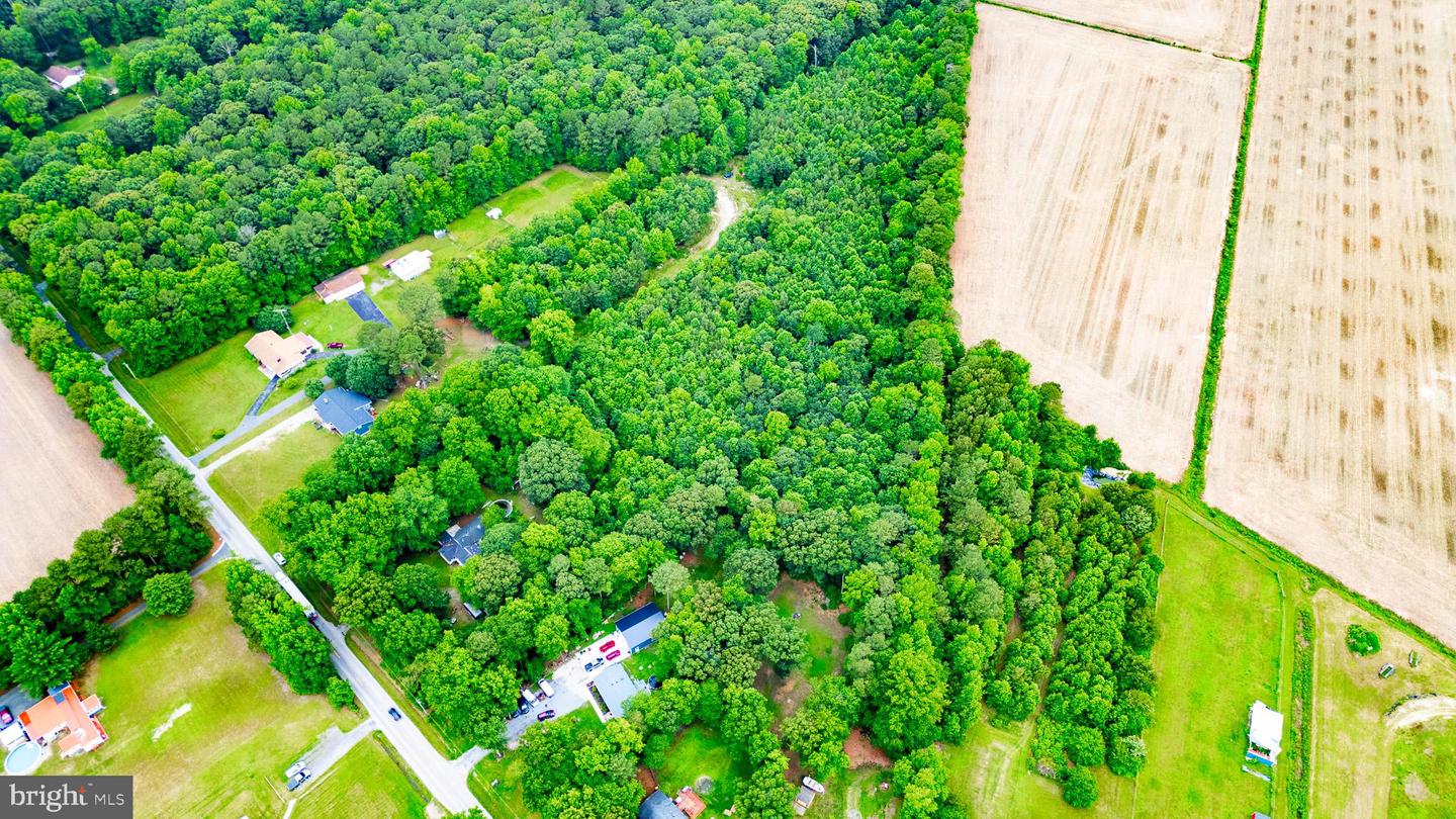 DESU2088672-803947331168-2025-06-19-12-54-43 13392 S Union Church Rd | Ellendale, DE Real Estate For Sale | MLS# Desu2088672  - Jack Lingo REALTOR