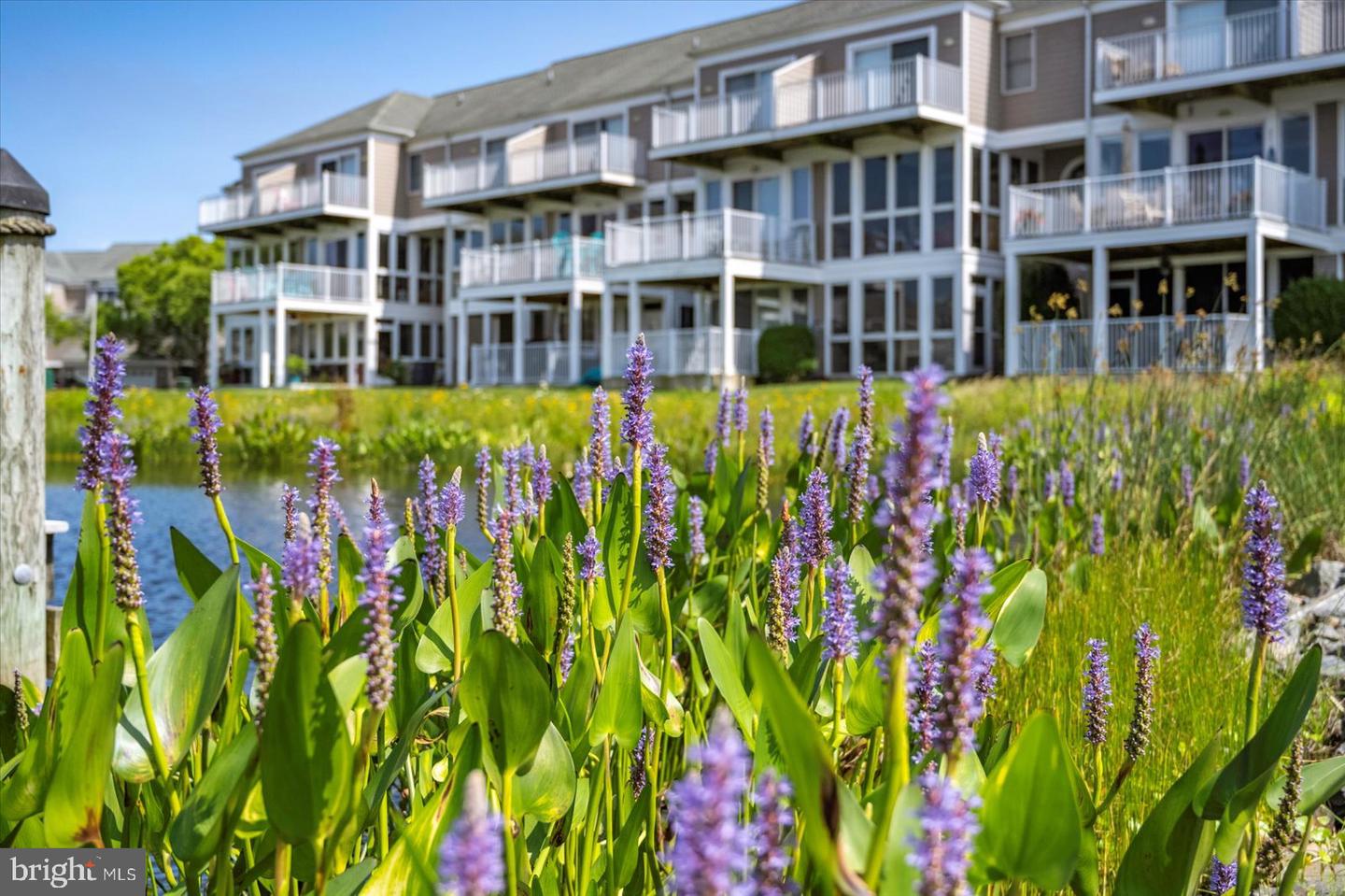 DESU2088694-803948752578-2025-06-19-11-10-20 38277 Ocean Vista Dr #1180 | Selbyville, DE Real Estate For Sale | MLS# Desu2088694  - Jack Lingo REALTOR