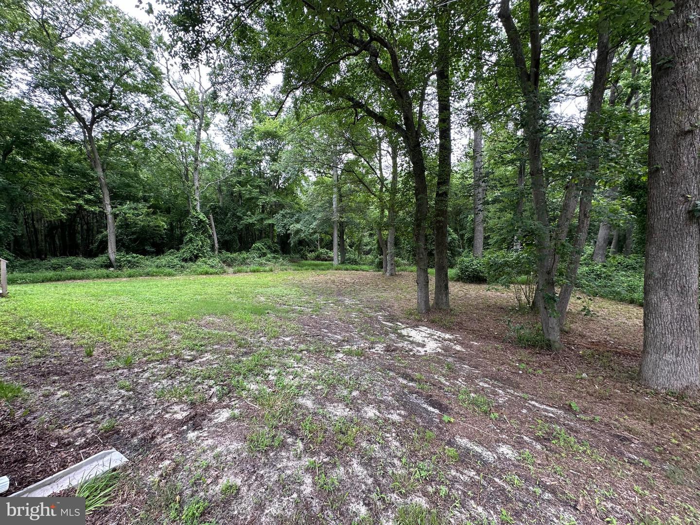 DESU2088752-803945958540-2025-06-18-12-45-13 22847 Nine Foot Rd | Millsboro, DE Real Estate For Sale | MLS# Desu2088752  - Jack Lingo REALTOR