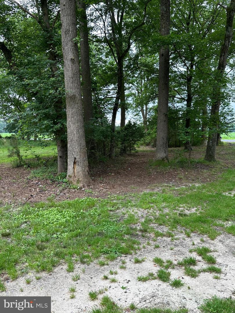 DESU2088752-803945958568-2025-06-18-12-45-13 22847 Nine Foot Rd | Millsboro, DE Real Estate For Sale | MLS# Desu2088752  - Jack Lingo REALTOR