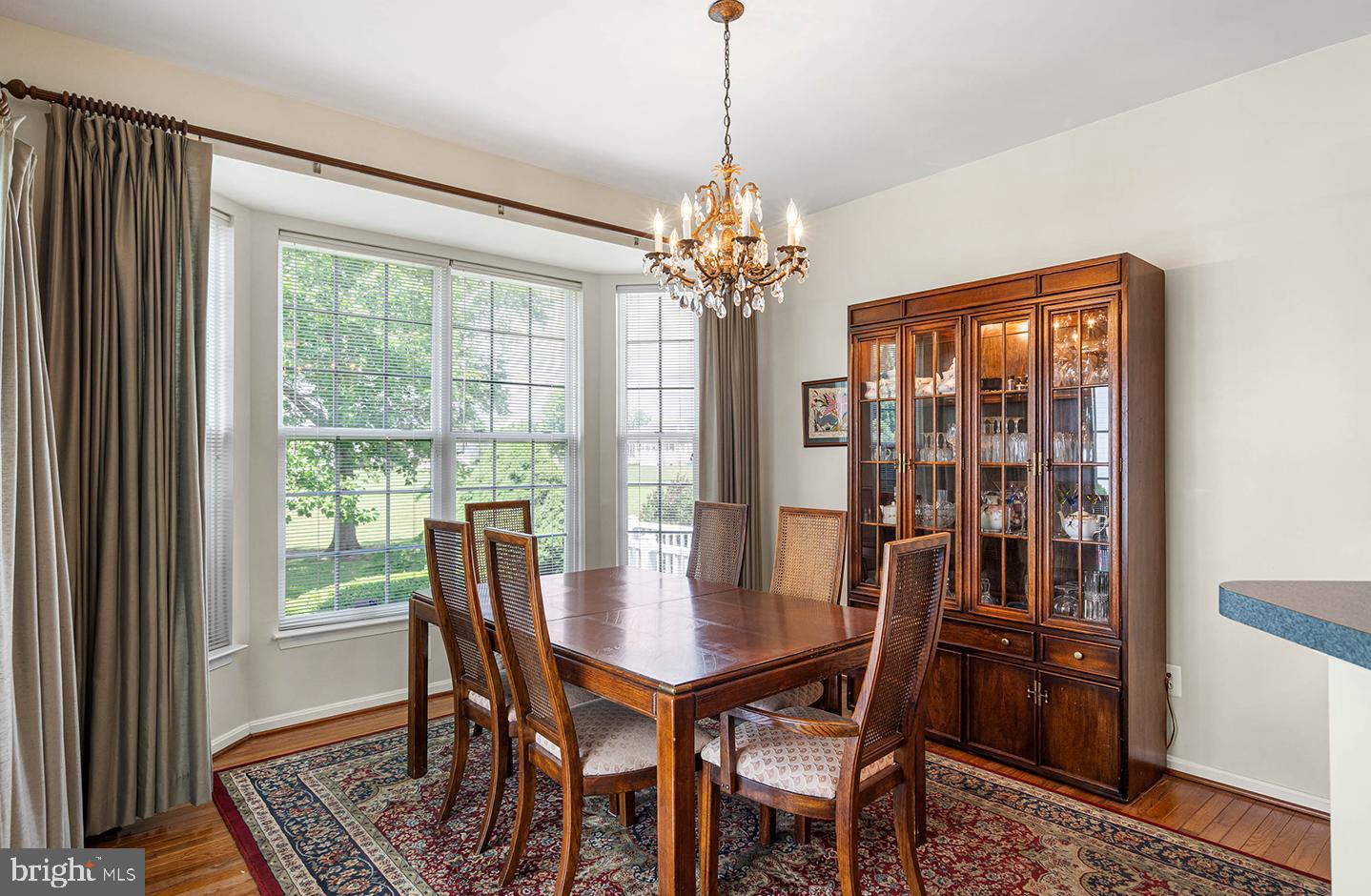 DESU2088768-803951705354-2025-06-20-10-40-18 13 Wauwinet Ct | Rehoboth Beach, DE Real Estate For Sale | MLS# Desu2088768  - Jack Lingo REALTOR