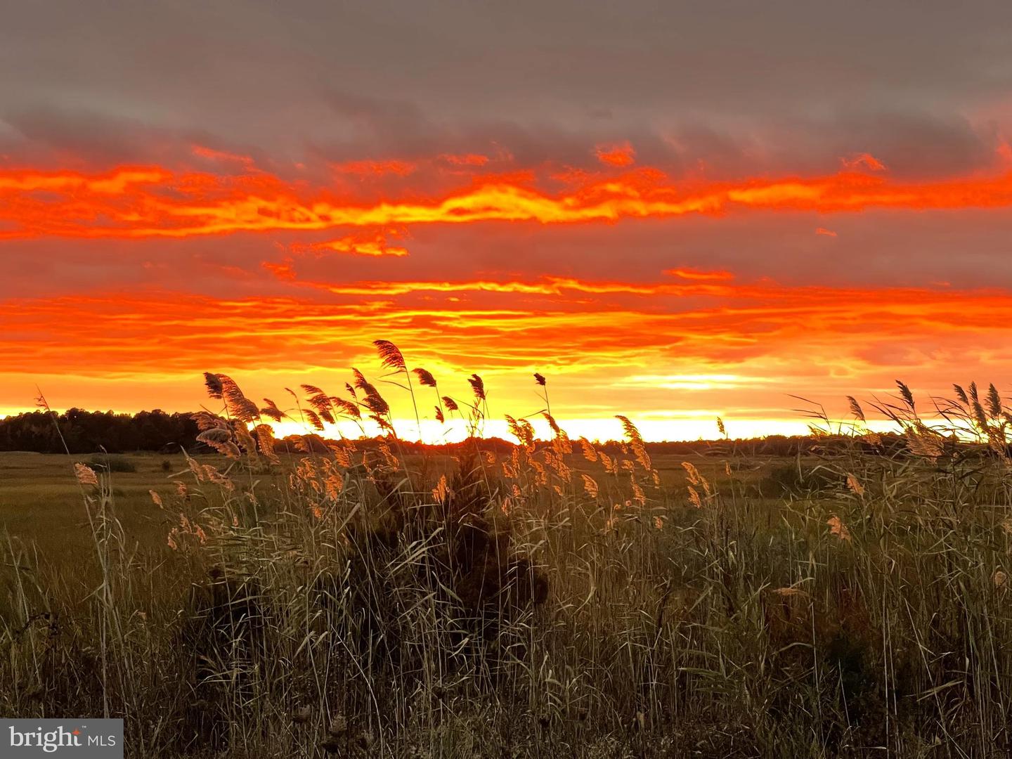 DESU2088866-803955481956-2025-11-06-17-31-36 108 Driftwood | Milford, DE Real Estate For Sale | MLS# Desu2088866  - Jack Lingo REALTOR