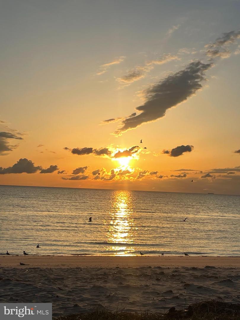 DESU2088866-803955482004-2025-11-06-17-31-36 108 Driftwood | Milford, DE Real Estate For Sale | MLS# Desu2088866  - Jack Lingo REALTOR