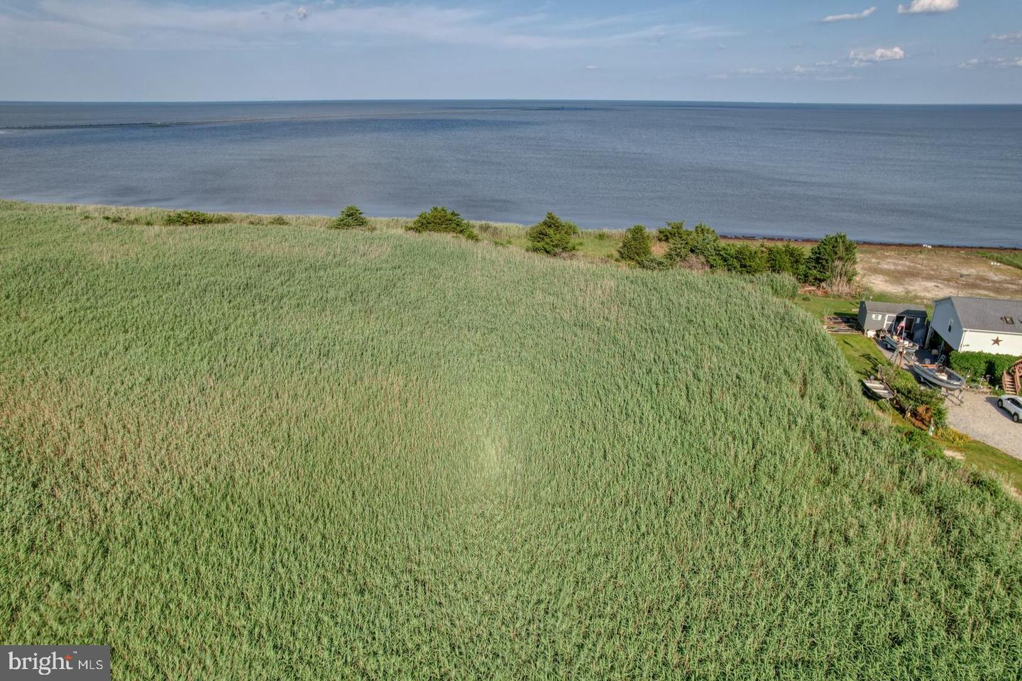 DESU2088874-803955398842-2025-12-31-12-56-42 111 Driftwood Cir | Milford, DE Real Estate For Sale | MLS# Desu2088874  - Jack Lingo REALTOR