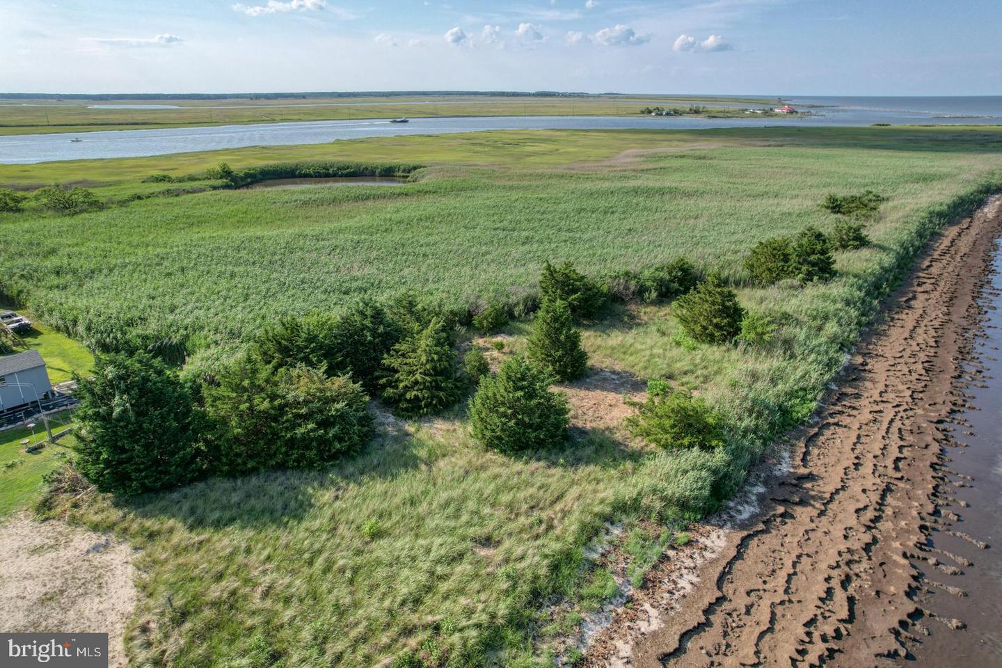 DESU2088874-803955399810-2025-12-31-12-56-41 111 Driftwood Cir | Milford, DE Real Estate For Sale | MLS# Desu2088874  - Jack Lingo REALTOR