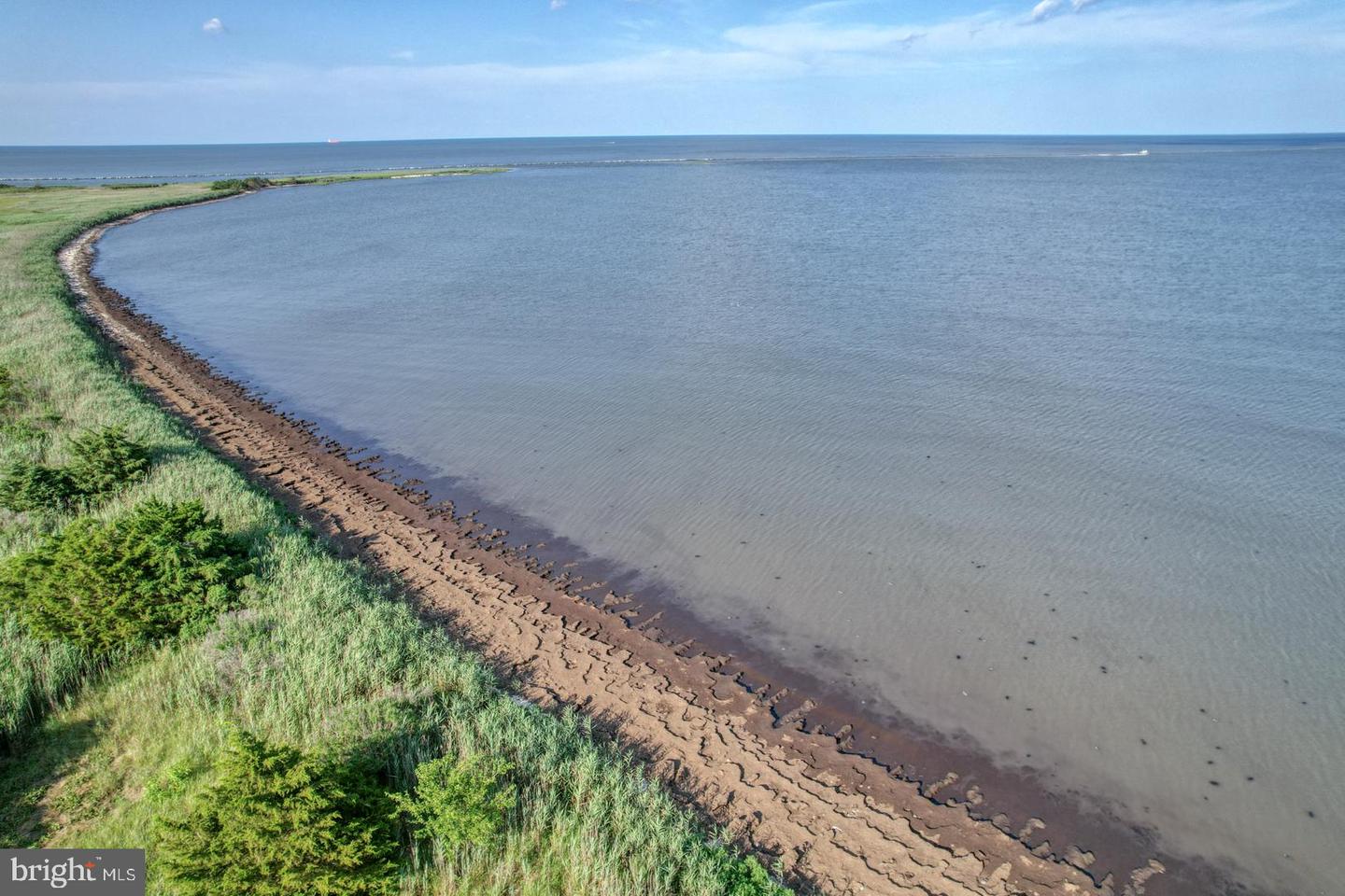 DESU2088874-803955400760-2025-12-31-12-56-41 111 Driftwood Cir | Milford, DE Real Estate For Sale | MLS# Desu2088874  - Jack Lingo REALTOR