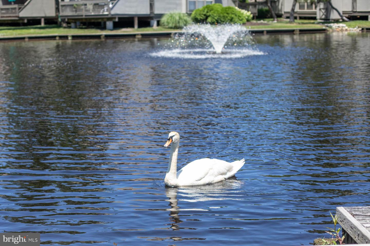 DESU2089244-804726412942-2026-04-03-17-58-27 39346 Racquet Ln #8504 | Bethany Beach, DE Real Estate For Sale | MLS# Desu2089244 - Jack Lingo REALTOR DESU2089244-804726412942-2026-04-03-17-58-27 39346 Racquet Ln #8504 | Bethany Beach, DE Real Estate For Sale | MLS# Desu2089244 - Jack Lingo REALTOR