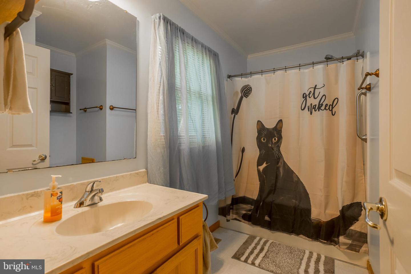 DESU2089410-804004148494-2025-07-11-12-10-31 26197 Hollyville Rd | Millsboro, DE Real Estate For Sale | MLS# Desu2089410  - Jack Lingo REALTOR