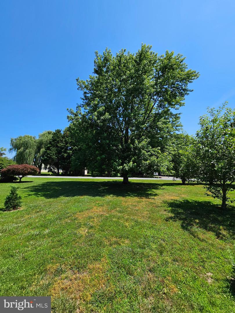 DESU2089414-803964983952-2025-06-26-16-59-24 322 Matthews Cir | Milford, DE Real Estate For Sale | MLS# Desu2089414  - Jack Lingo REALTOR